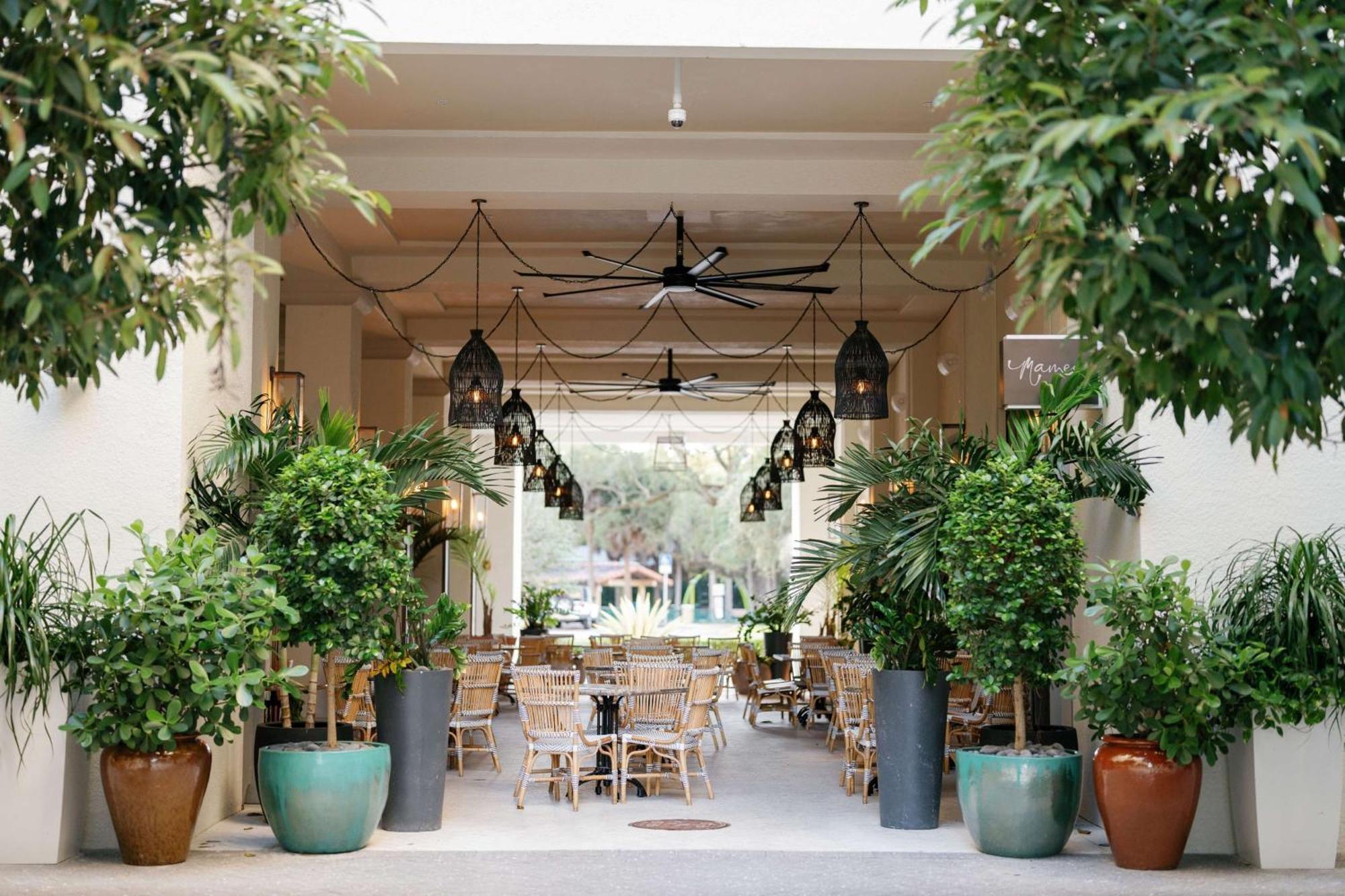Thesis Hotel Miami Coral Gables, Curio Collection By Hilton エクステリア 写真