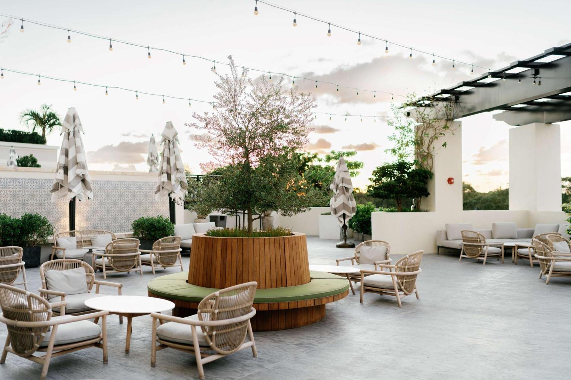 Thesis Hotel Miami Coral Gables, Curio Collection By Hilton エクステリア 写真